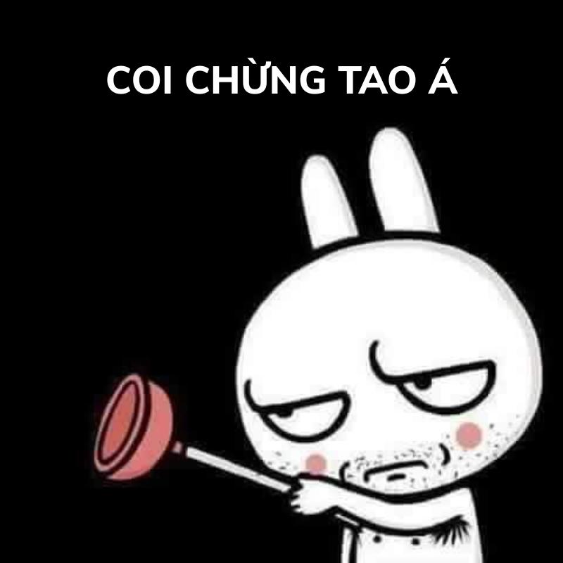 coi chừng tao