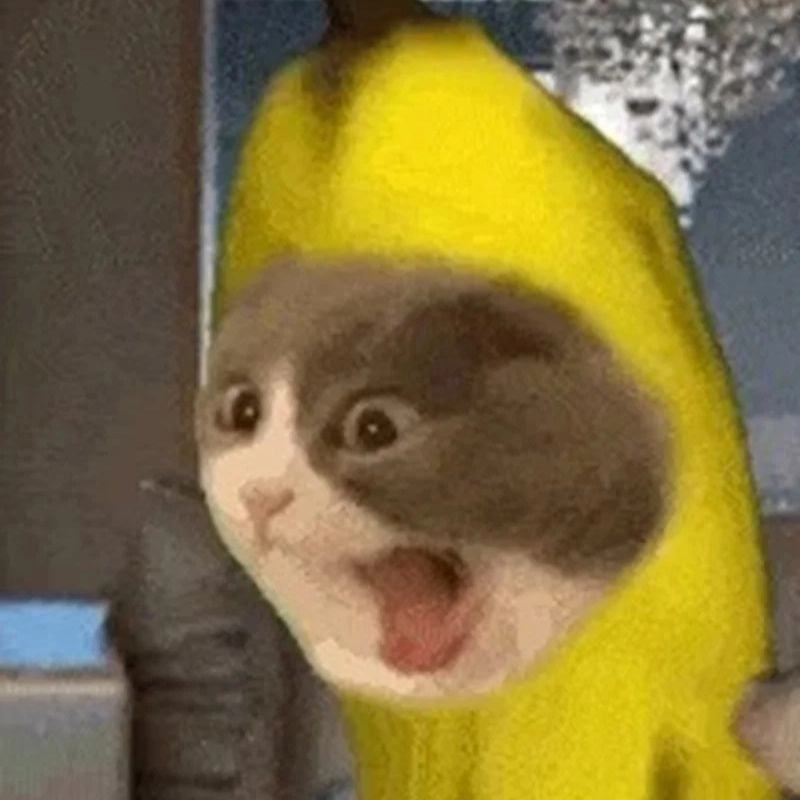 Meme wow dễ thương chú mèo đội mũ quả chuối vàng há mồm
