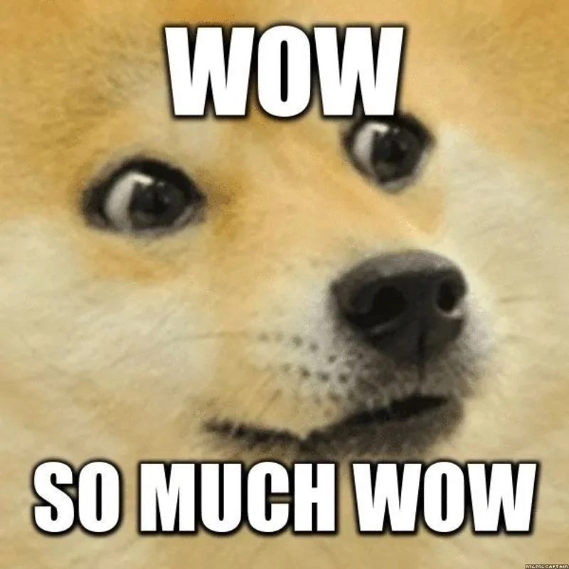 Ảnh chế chú chó Doge ngơ ngác