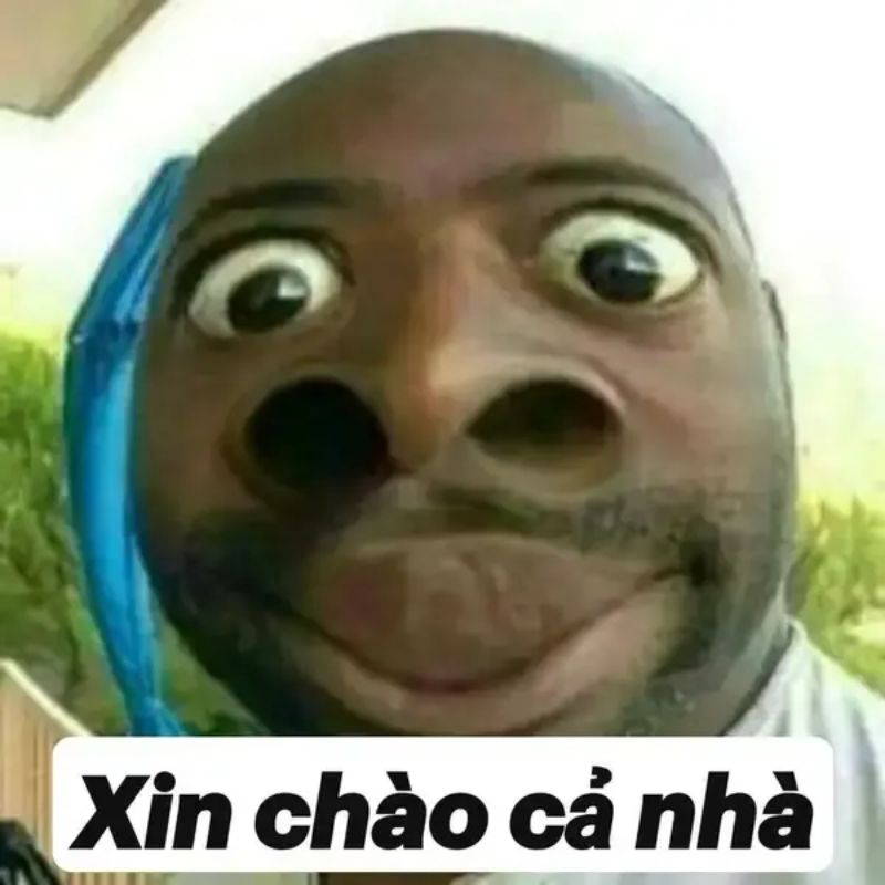 meme xin chào cả nhà
