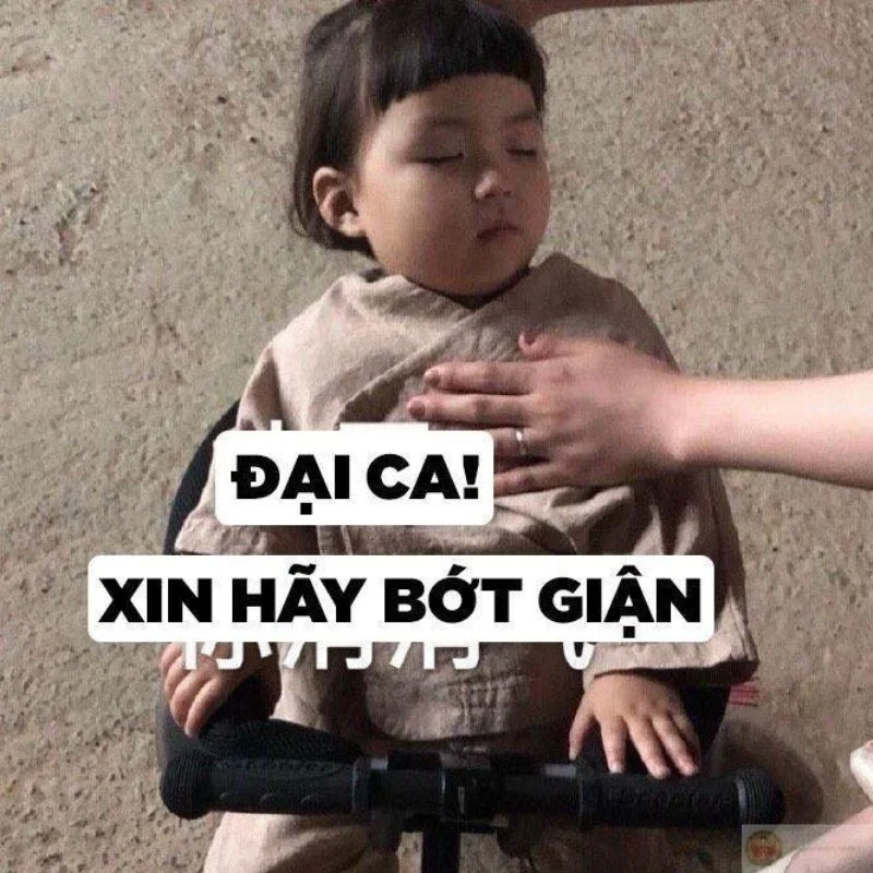 Meme xin lỗi hài hước hình em bé được vuốt ngực để khuyên đại ca bớt giận