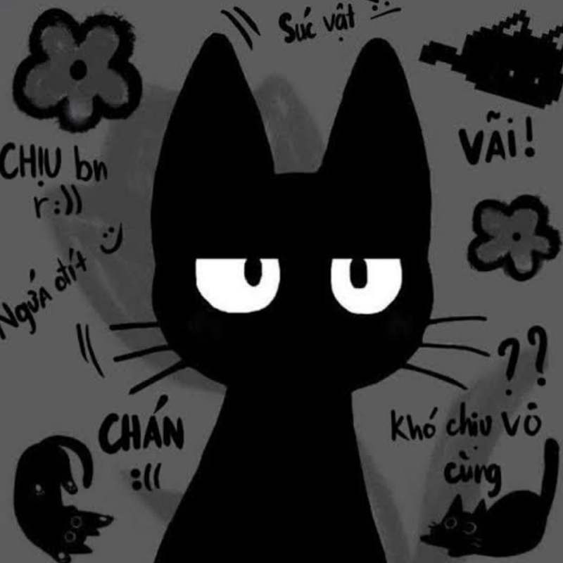 Ảnh mèo đen với biểu cảm khó chịu cực đáng yêu