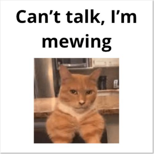 Mewing meme hài hước chú mèo cam giữ im lặng kèm dòng chữ tiếng Anh.