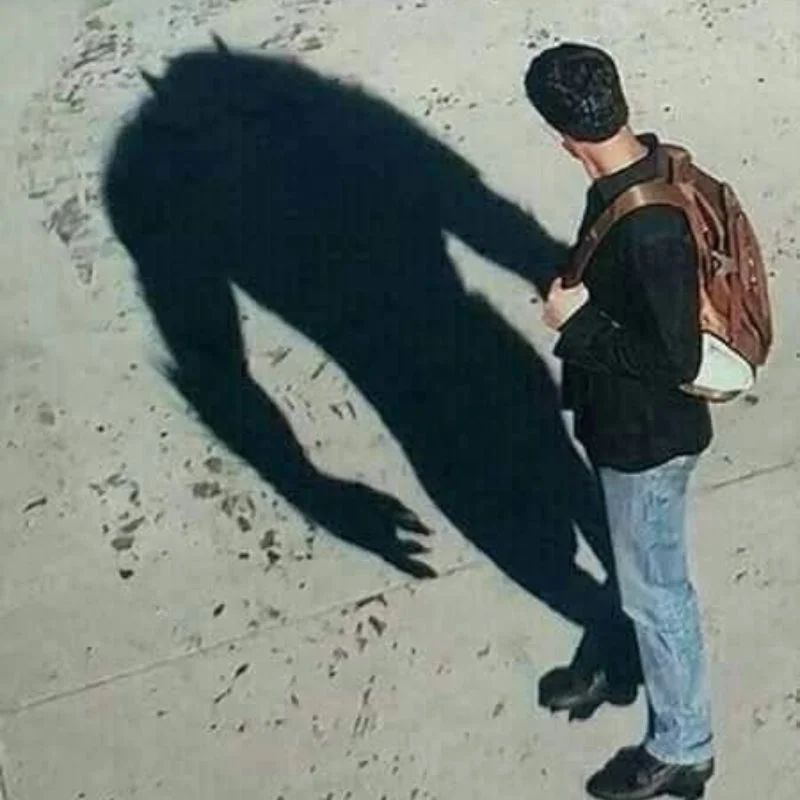 Ảnh chế meme bóng người sói cô độc phản chiếu trên mặt đường