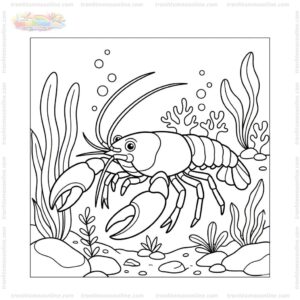 Tranh tô màu con tôm càng Tranh tô màu con tôm càng
