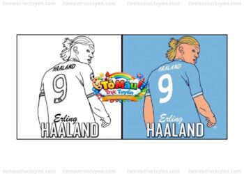 tô màu erling halland