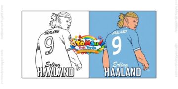 tô màu erling halland