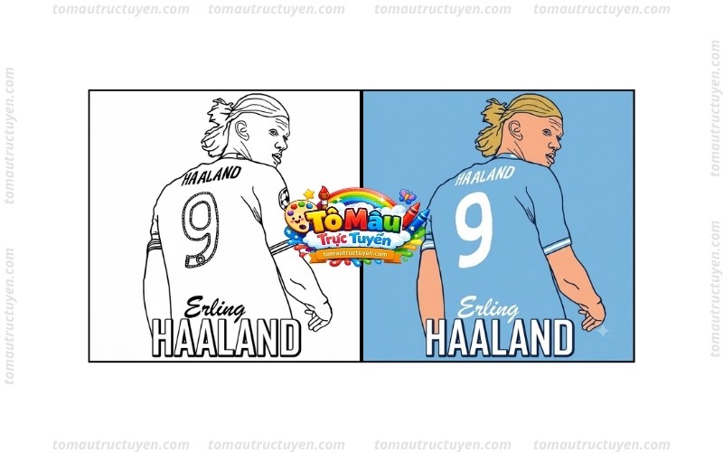 tô màu erling halland