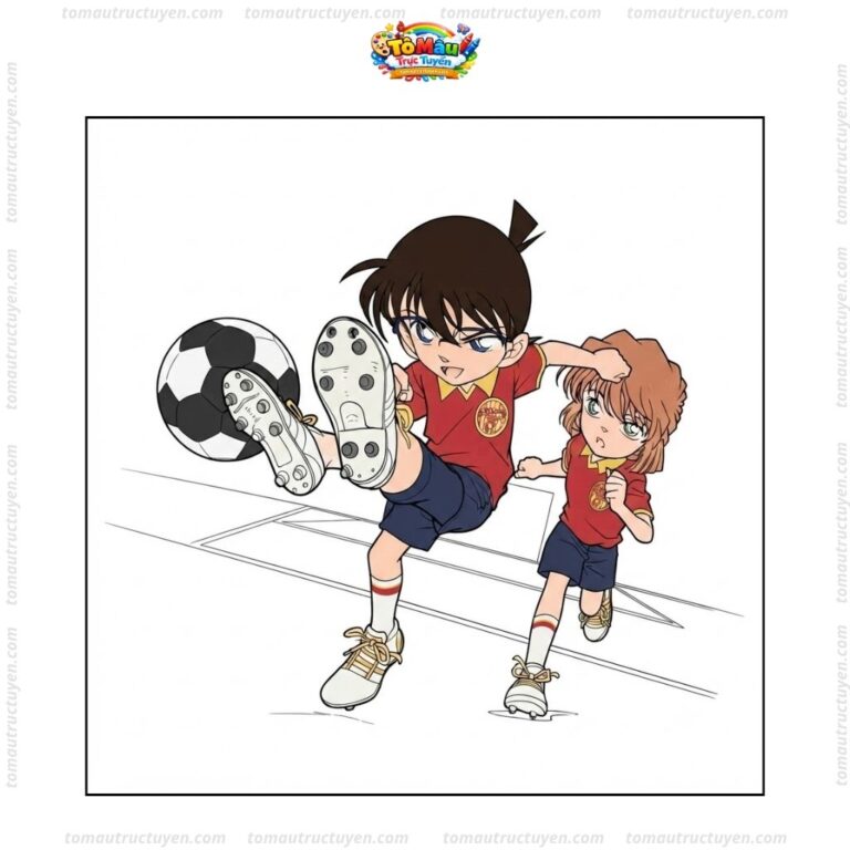 Ảnh tô mẫu