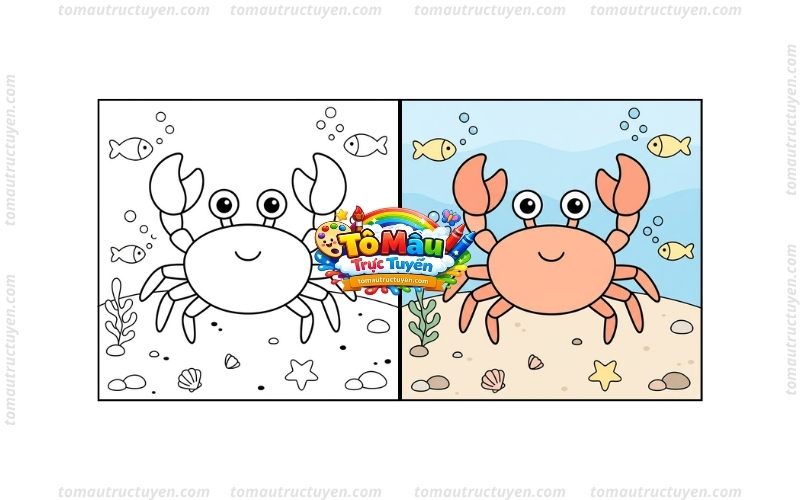 tô màu con cua
