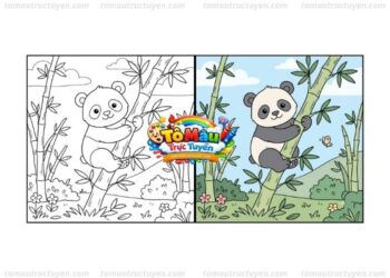 tô màu gấu trúc