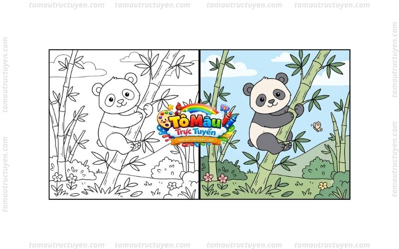 tô màu gấu trúc