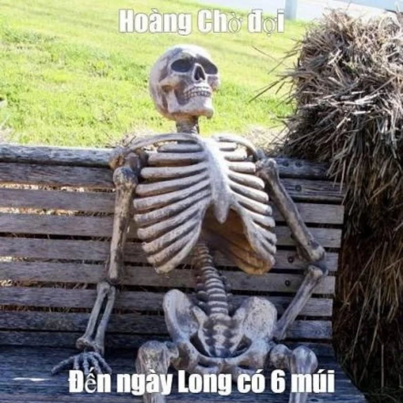 Meme bộ xương khô ngồi trên ghế