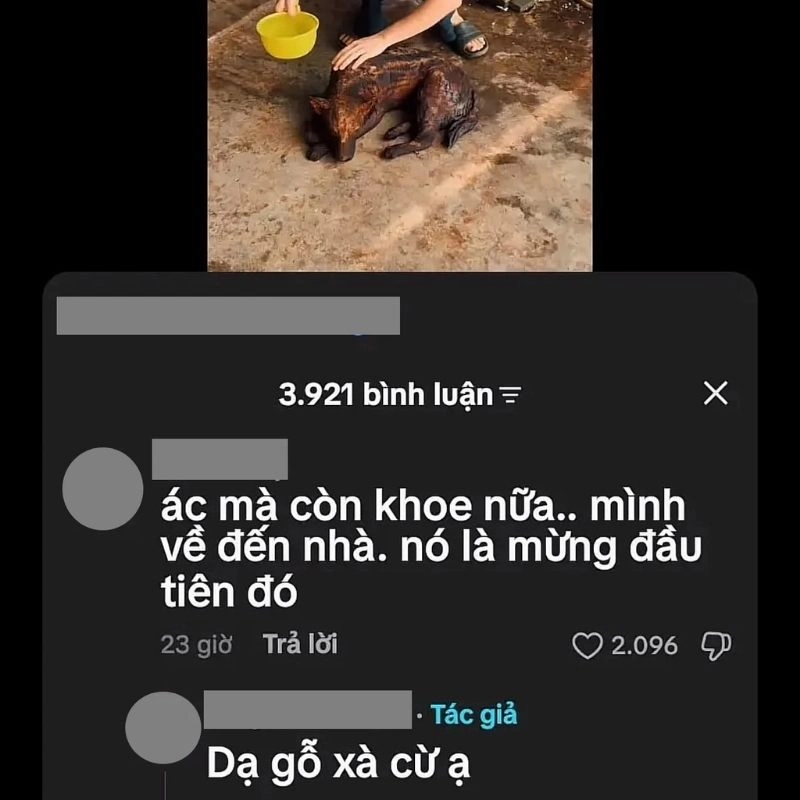 Nguồn gốc cmt "Dạ gỗ xà cừ ạ" trên Tiktok