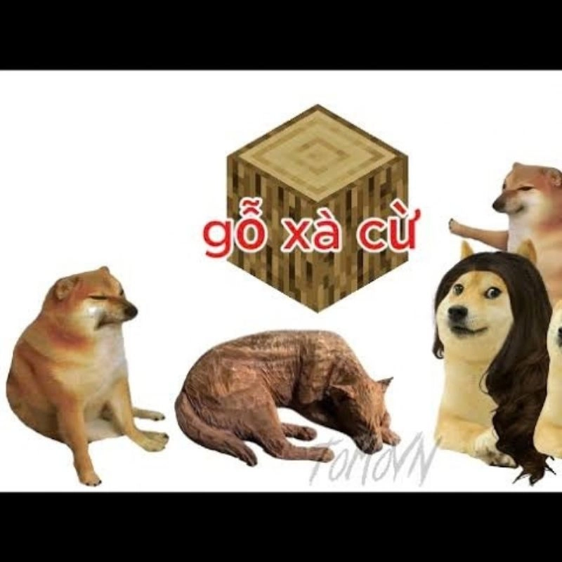 Meme những chú chó "gỗ xà cừ"