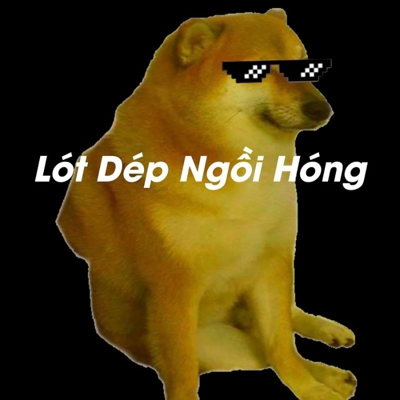 Meme chó đeo kính lót dép ngồi hóng
