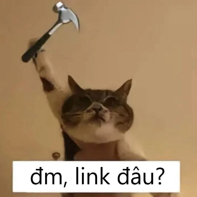 Con mèo giơ búa lên cao chèn chữ xin link tư liệu hài hước