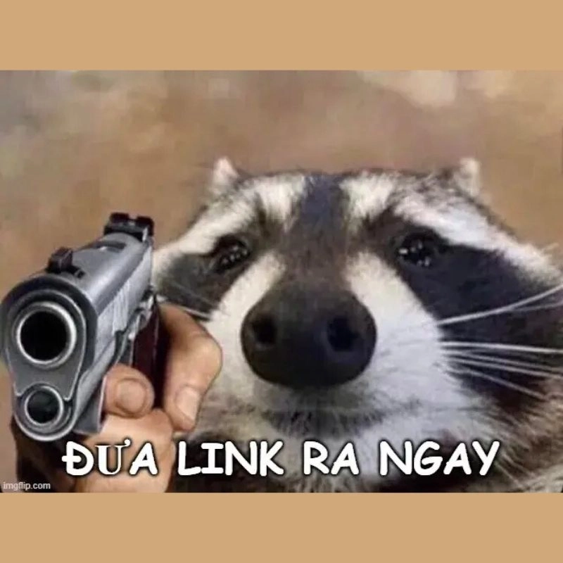 Chú gấu trúc Raccoon cầm súng ngắn chĩa thẳng màn hình yêu cầu đưa link ra ngay