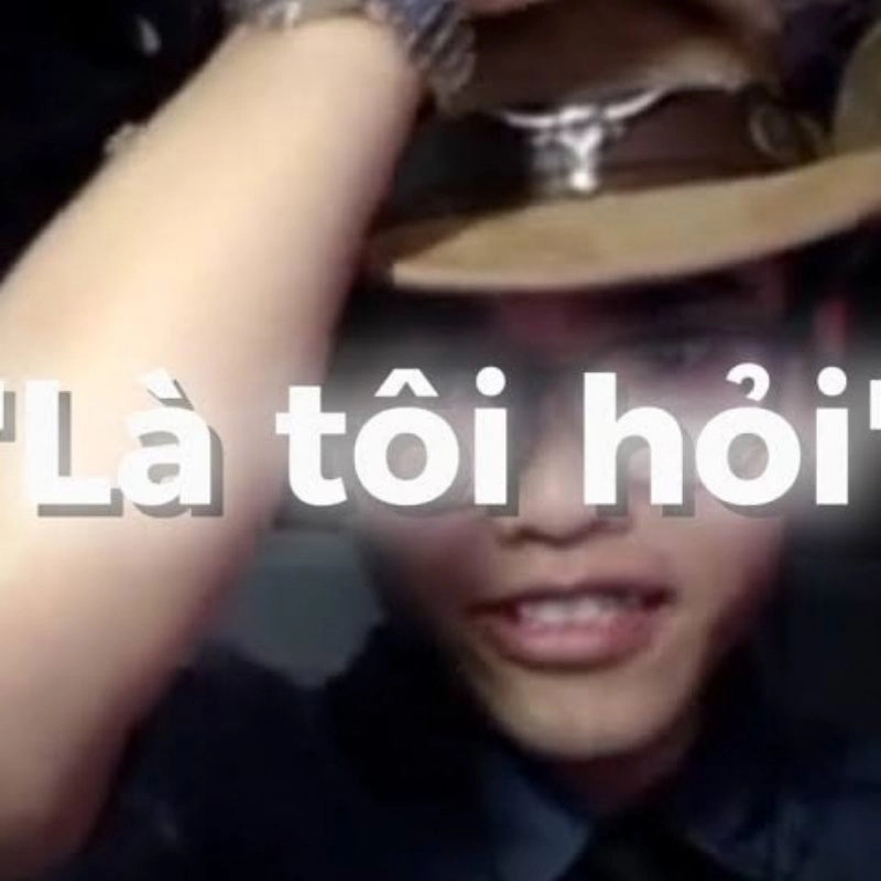 Ảnh chế ai hỏi, là tôi hỏi