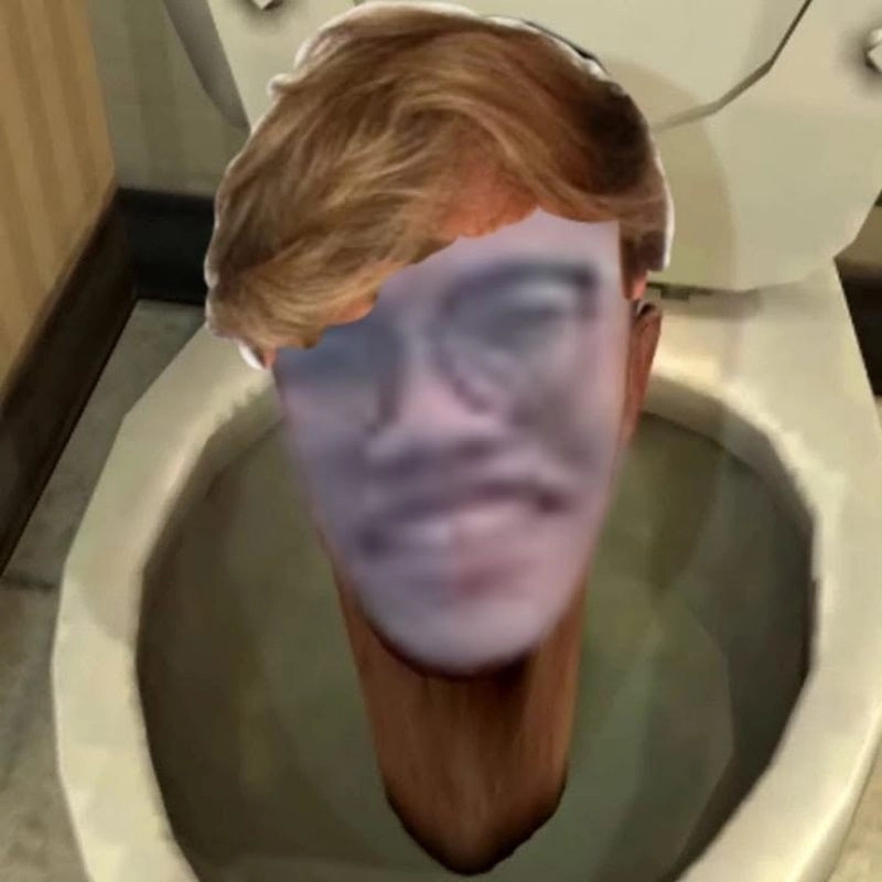 Ảnh chế mặt Trần Bình trong toilet